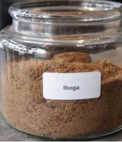 Buy IBOGA Online Australia Buy IBOGA Online Germany Buy IBOGA Online Sydney Buy IBOGA Online UK Buy IBOGA Online Melbourne Buy IBOGA Online USA